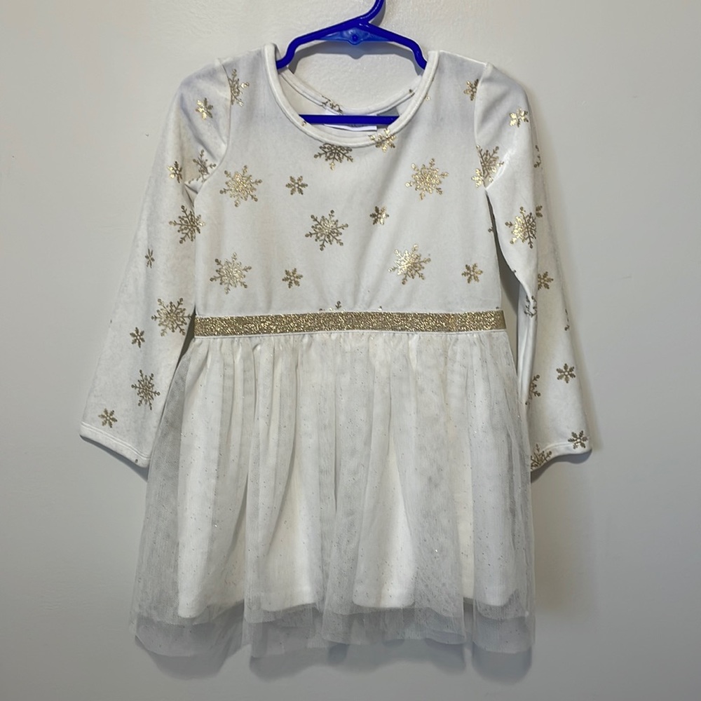 The PLACE toddler girl winter dress. 3T